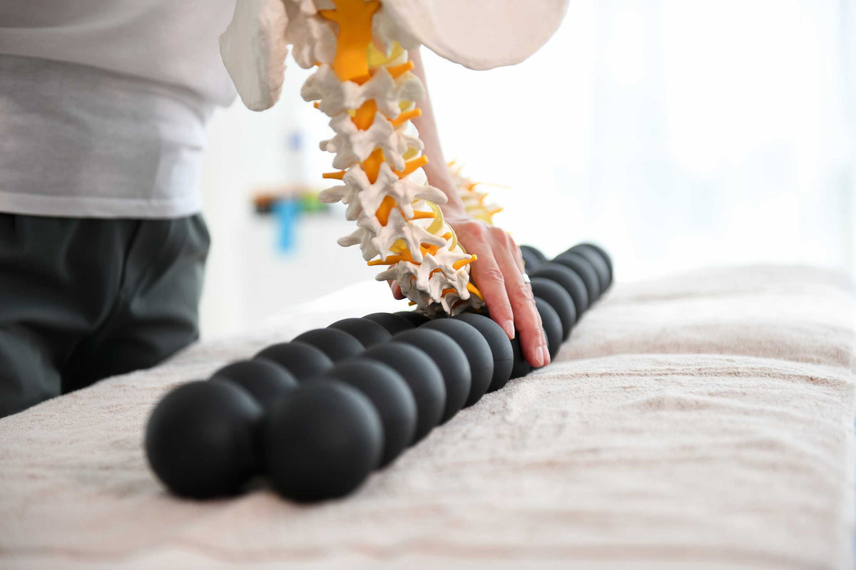 Balanced Body Spinefitter training voor core balans en proprioceptie