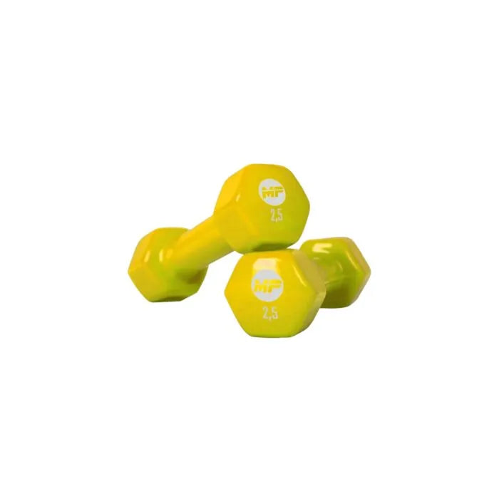 lichte dumbbells revalidatie fitness thuisgebruik 2,5 kg